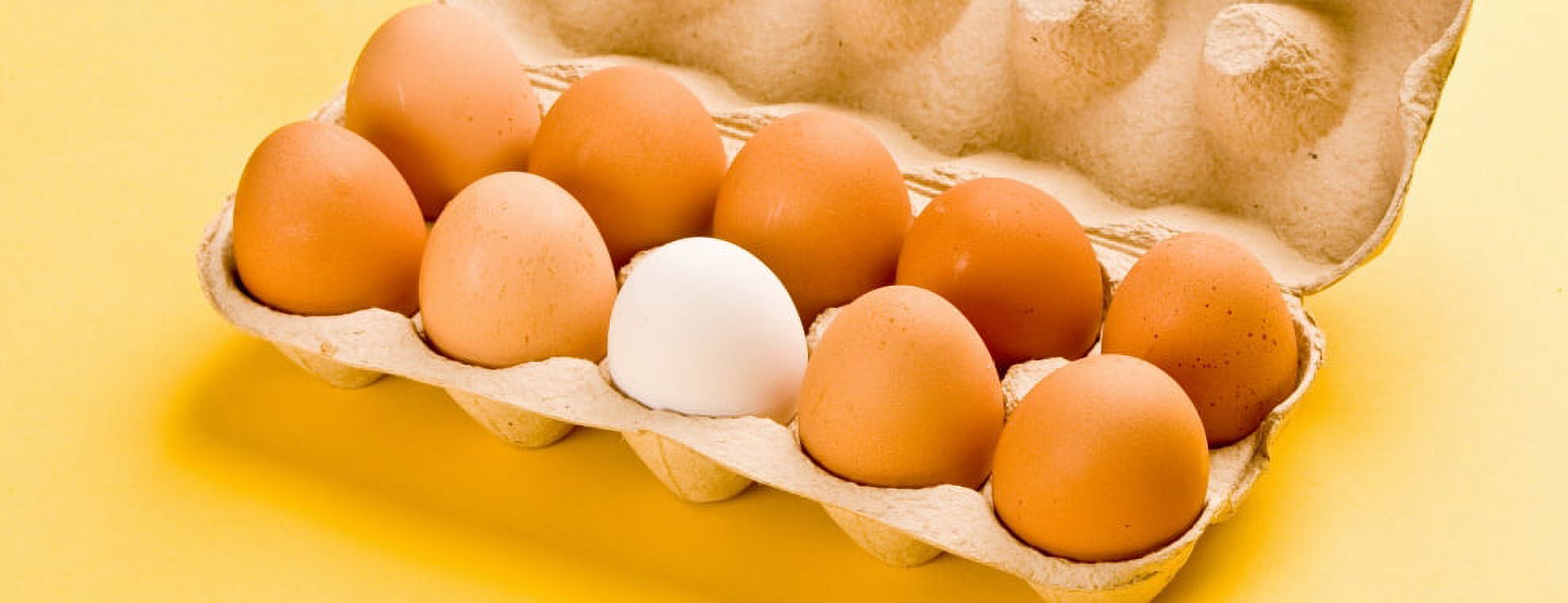 Sunside Farms Sunnyside Large Eggs, 12 Count